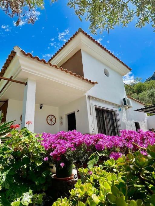 Casa La Roca Villa El Gastor Exteriör bild